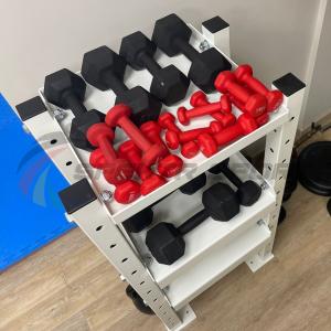 Купить Модульный стеллаж для гантелей, гирь  600х470х1160 в Белокурихе 