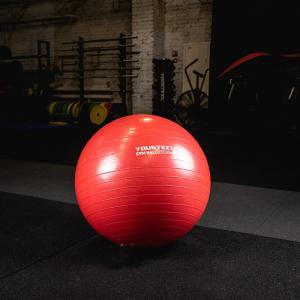 Купить Гимнастический мяч Yousteel Hard 55см в Белокурихе 