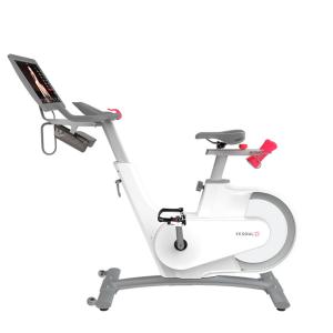 Купить Велотренажер Yesoul BV1-W PLUS в Белокурихе 